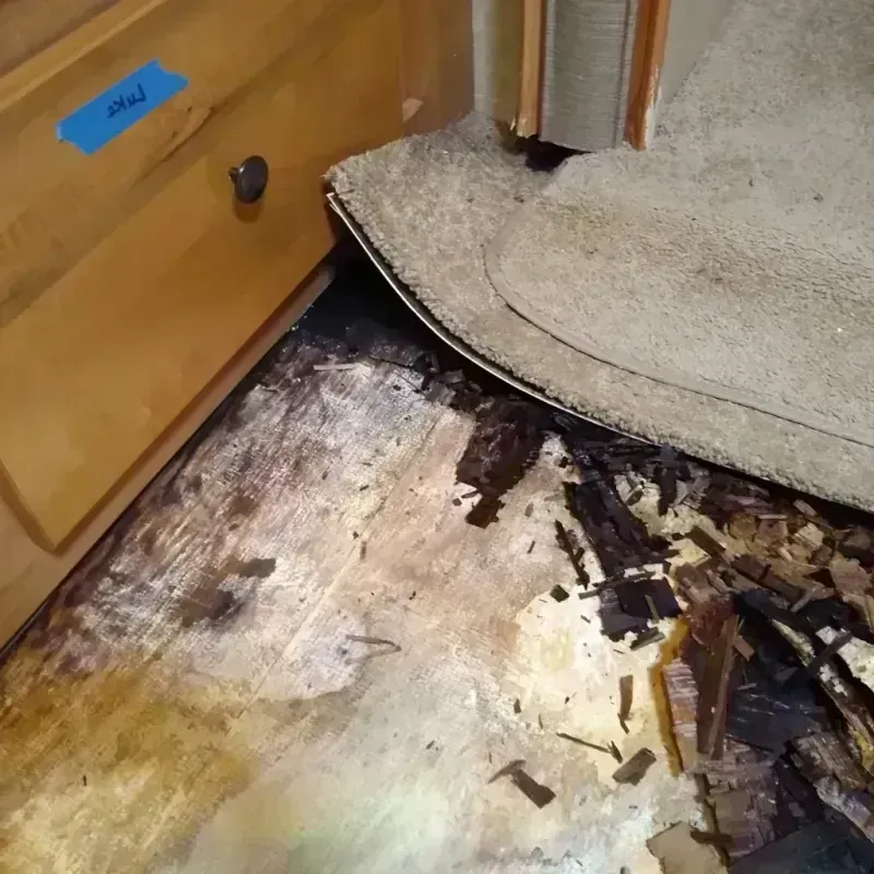 Wood Floor Water Damage in Inverness Highlands North, FL